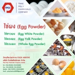 Whole egg powder, ไข่รวมผง, ผงไข่รวม, ผลิตไข่ผง, จำหน่ายไข่ผง, นำเข้าไข่ผง, ส่งอ