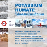 Potassium Humate, โปแตสเซียมฮิวเมต, โพแทสเซียมฮิวเมต, โปแตสเซียมฮิวเมท, โพแทสเซี