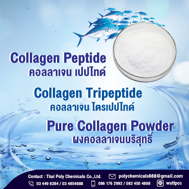 Fish Collagen Powder, ผงคอลลาเจนบริสุทธิ์ สกัดจากปลา