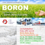 โบรอน, Boron, บอริกแอซิด, Boric acid, บอแรกซ์, Borax