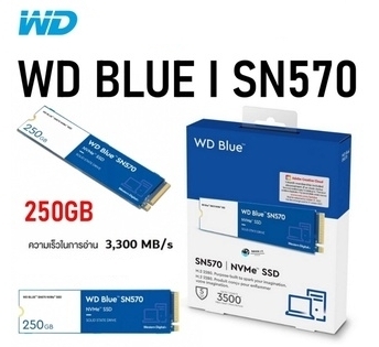 WD BLUE 250 GB SSD M.2 PCIe SN570 (WDS250G3B0C) NVMe